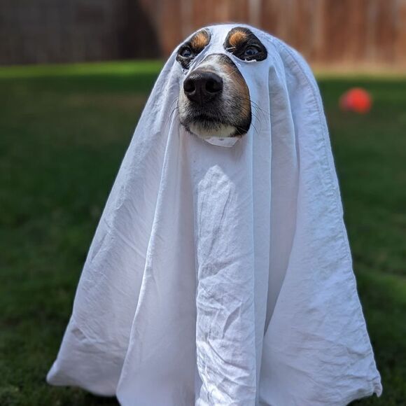 Loves sharing - Picture 10 of 16